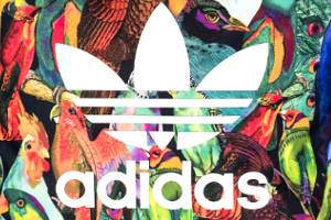 ADIDAS ORIGINALS X THE FARM COMPANY