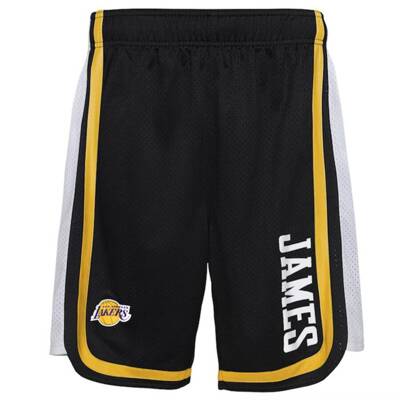 NBA Licensed Hooper Ball Shorts Los Angeles Lakers Lebron James black