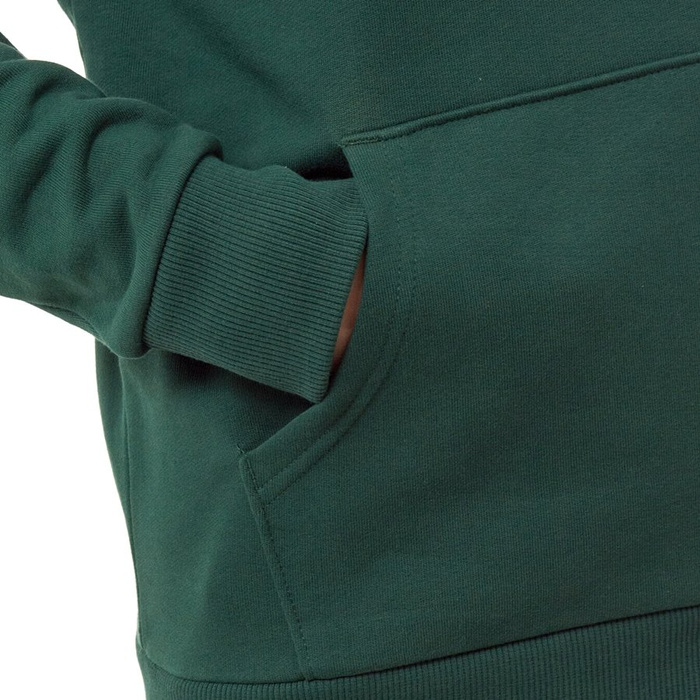 The North Face sweatshirt hoody Raglan Red Box night green (T92ZWUN3P)