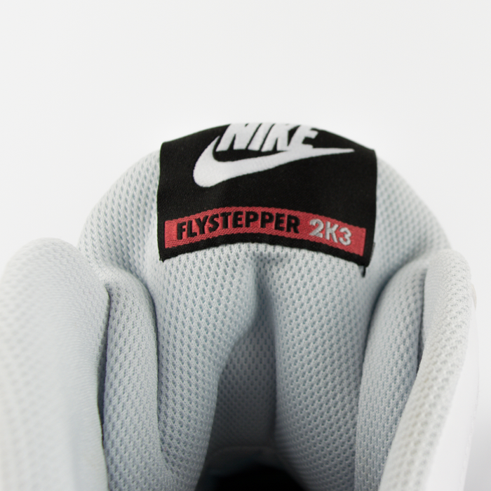 Buty męskie Nike Flystepper 2K3 white / pure platinum (644576-101) TM