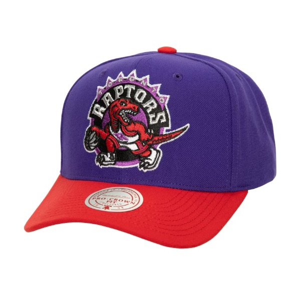 Mitchell&Ness Snapback NBA Toronto Raptors Team 2 Tone 2.0 Stretch purple-red 