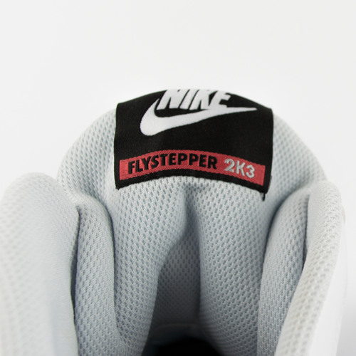 Buty męskie Nike Flystepper 2K3 white / pure platinum (644576-101) TM