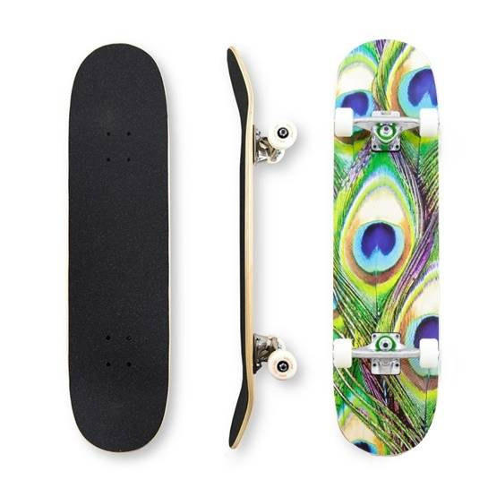 MiniLogo Skateboards Deskorolka kompletna Peacock Feather 242 K20 multicolor 7.75" x 31.08"