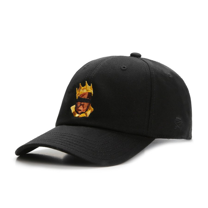 Cayler and Sons WL curved cap Bigasso black / multicolor