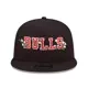 Chicago Bulls