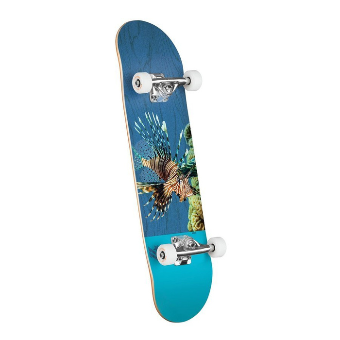 Deskorolka kompletna MiniLogo Skateboards Poison Lion Birch "16" 243 K20 blue 8.25" x 31.95"