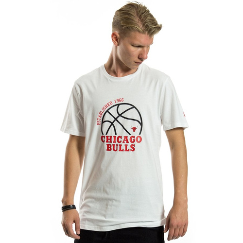 New Era t-shirt NBA Graphic Ball Chicago Bulls white