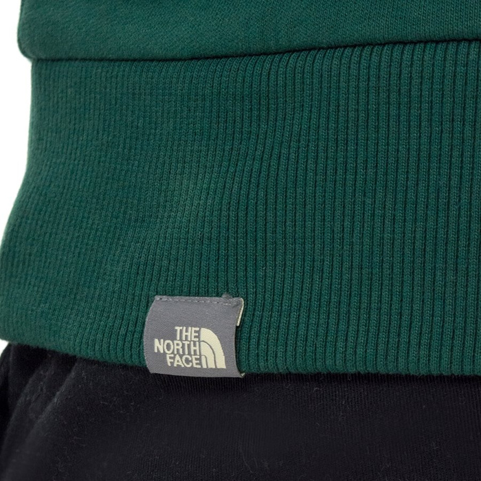 Bluza męska The North Face hoody Raglan Red Box night green (T92ZWUN3P)