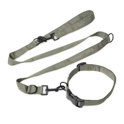 Carhartt WIP Script Leash & Collar smoke green / reflective