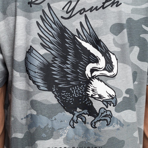 Cayler and Sons t-shirt BL First Division Tees stone camo / mc