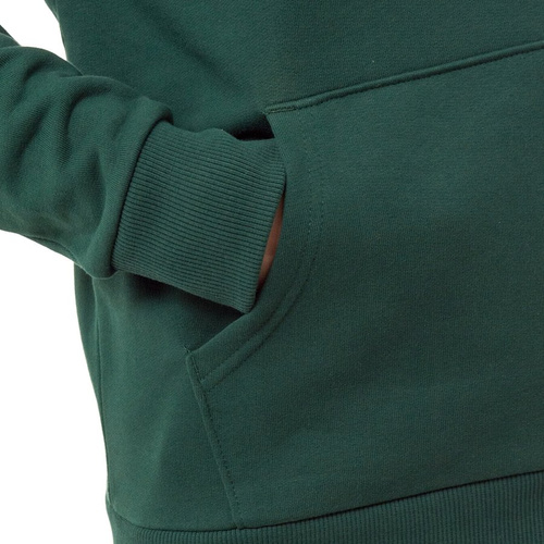 Bluza męska The North Face hoody Raglan Red Box night green (T92ZWUN3P)