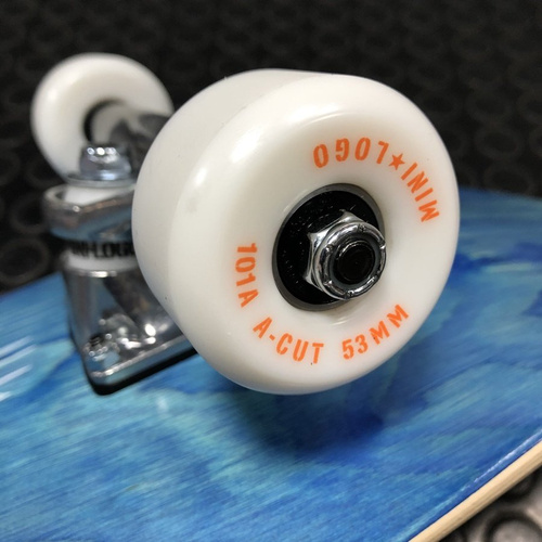 Deskorolka kompletna MiniLogo Skateboards Poison Lion Birch "16" 243 K20 blue 8.25" x 31.95"